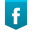 Like Floral Expressions on Facebook